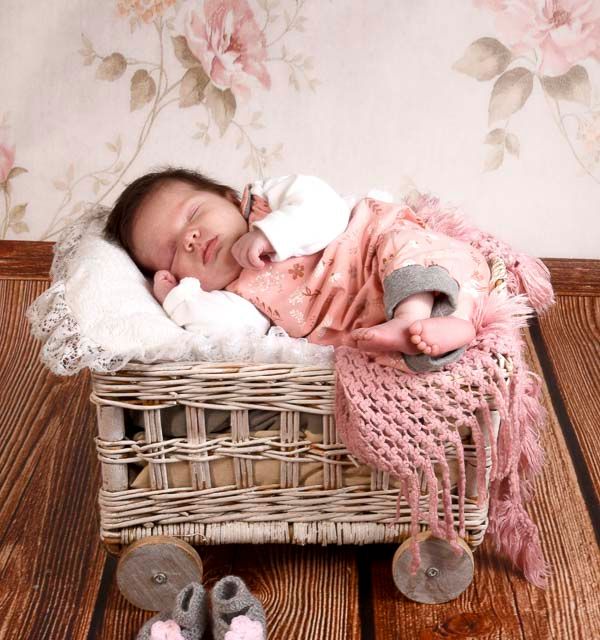 Fotostudio Gräber Emmendingen - Referenzen